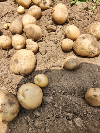 김경희님의 작성글 사진