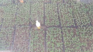 최용운님의 콩 · 자유게시판 작성글 사진