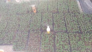 최용운님의 콩 · 자유게시판 작성글 사진