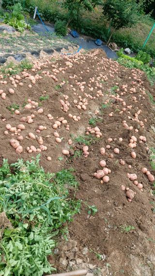 하문오님의 자유주제 · 자유게시판 작성글 사진