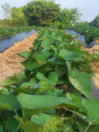 김서린님의 자유주제 · 자유게시판 작성글 사진