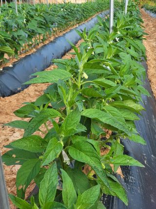 김서린님의 자유주제 · 자유게시판 작성글 사진