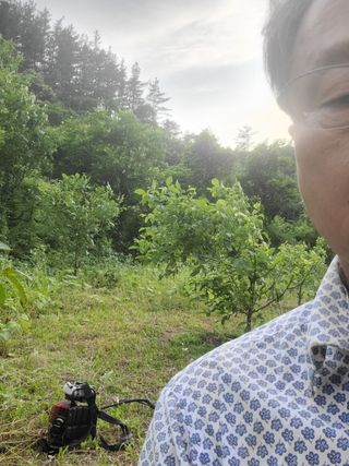 무주설천면 반딧팝님의 기타작물 · 영농일지 작성글 사진