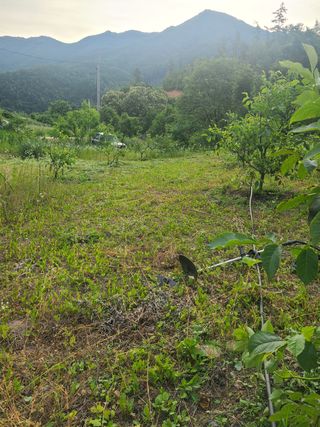무주설천면 반딧팝님의 기타작물 · 영농일지 작성글 사진