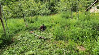 제부도그린농원님의 사과 · 비료•농약 작성글 사진