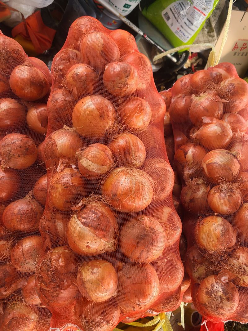 장터 상품 [양파20kg (판매완료)] 썸네일