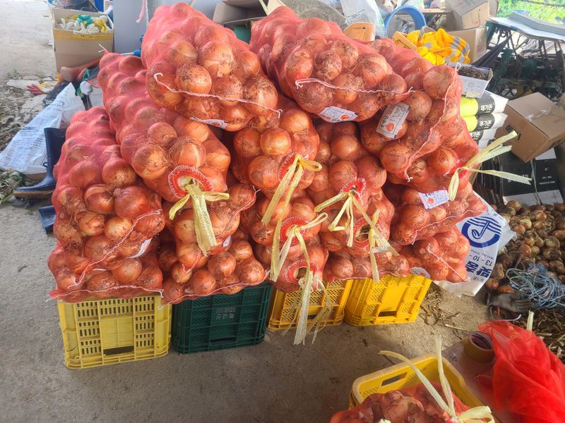 김진광님의 장터 판매 상품 [양파20kg (판매완료)] 첨부 사진