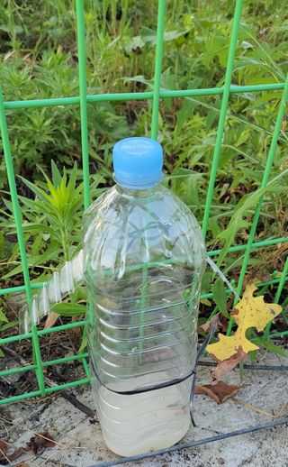 김중언님의 팜모닝 병해충 연구회 · 병해충 경험담 작성글 사진