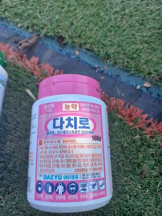 김년욱님의 감 · 영농일지 작성글 사진