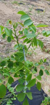 팜모닝 매일매일 농사공부·자유게시판 게시글 이미지