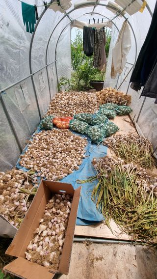 푸른꿈님의 장마 대비 어떻게 하셨나요? · 참여 작성글 사진