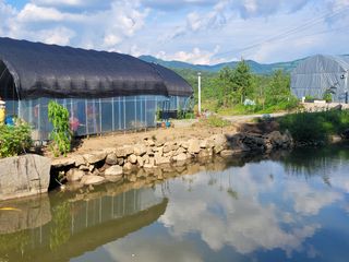 최창남님의 장마 대비 어떻게 하셨나요? · 참여 작성글 사진