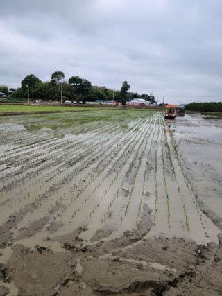 메추라기님의 장마 대비 어떻게 하셨나요? · 참여 작성글 사진