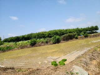 메추라기님의 장마 대비 어떻게 하셨나요? · 참여 작성글 사진