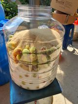 팜모닝 매실·영농일지 게시글 이미지