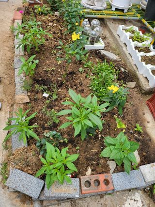 이상범님의 장마 대비 어떻게 하셨나요? · 참여 작성글 사진