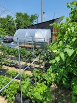 팜모닝 장마 대비 어떻게 하셨나요?·참여 게시글 이미지