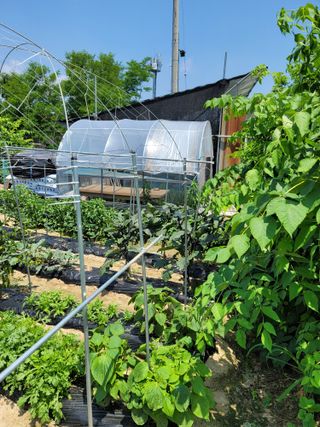 김부수님의 장마 대비 어떻게 하셨나요? · 참여 작성글 사진