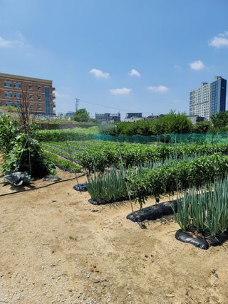 김부수님의 장마 대비 어떻게 하셨나요? · 참여 작성글 사진