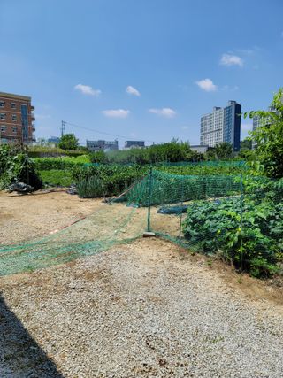 김부수님의 장마 대비 어떻게 하셨나요? · 참여 작성글 사진