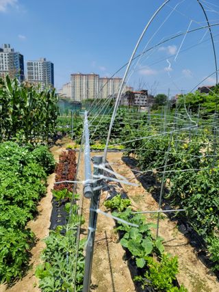 김부수님의 장마 대비 어떻게 하셨나요? · 참여 작성글 사진