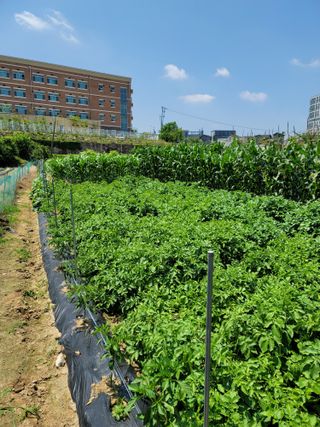 김부수님의 장마 대비 어떻게 하셨나요? · 참여 작성글 사진