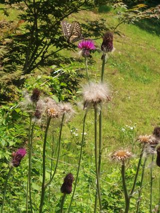 박창석님의 장마 대비 어떻게 하셨나요? · 참여 작성글 사진
