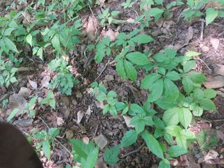 박창석님의 장마 대비 어떻게 하셨나요? · 참여 작성글 사진