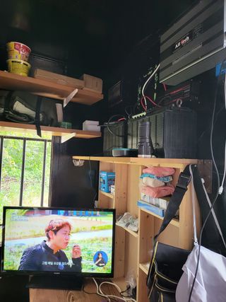 로만아빠님의 배추 · 영농일지 작성글 사진