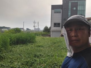 로만아빠님의 배추 · 영농일지 작성글 사진