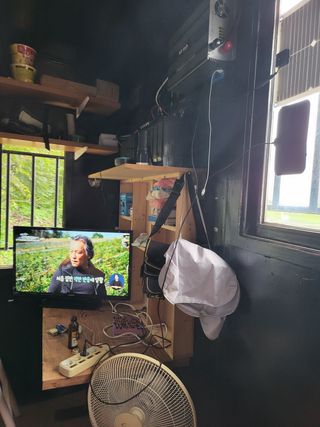 로만아빠님의 배추 · 영농일지 작성글 사진