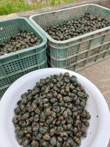 팜모닝 벼·자유게시판 게시글 이미지