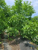 팜모닝 자유주제·사진전 게시글 이미지