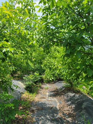 남효제님의 자유주제 · 사진전 작성글 사진