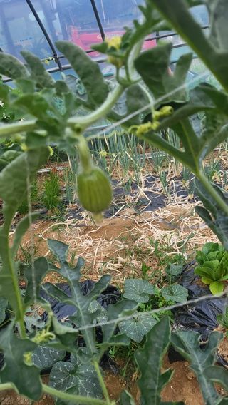 김태협님의 자유주제 · 자유게시판 작성글 사진