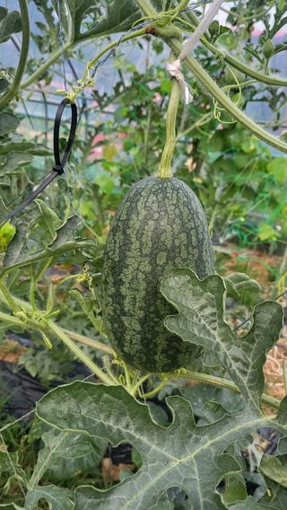 김태협님의 자유주제 · 자유게시판 작성글 사진