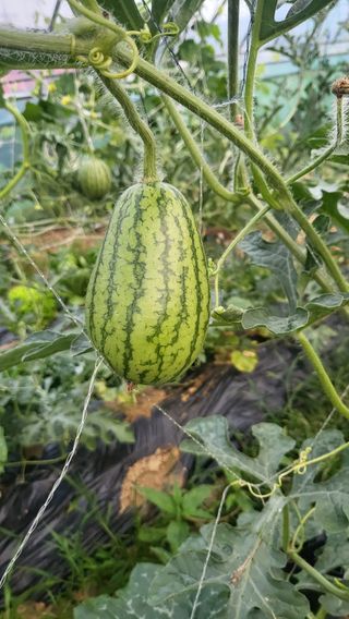 김태협님의 자유주제 · 자유게시판 작성글 사진