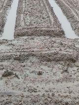 팜모닝 장마 대비 어떻게 하셨나요?·참여 게시글 이미지