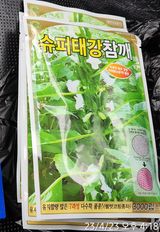 팜모닝 참깨·자유게시판 게시글 이미지