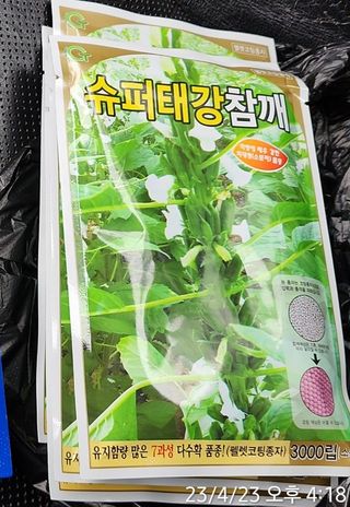 정병무님의 참깨 · 자유게시판 작성글 사진