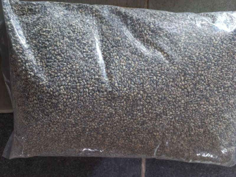 장터 상품 [보리쌀] 썸네일