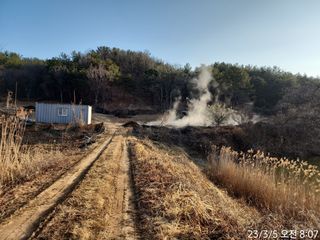 정병무님의 참깨 · 자유게시판 작성글 사진