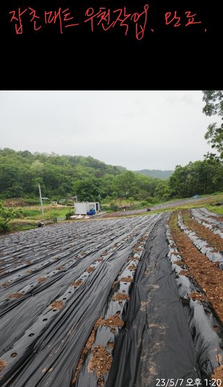 정병무님의 참깨 · 자유게시판 작성글 사진