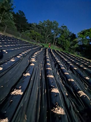 정병무님의 참깨 · 자유게시판 작성글 사진