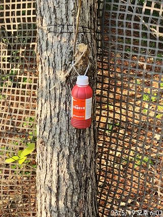 정병무님의 참깨 · 자유게시판 작성글 사진