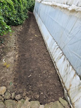 예준예성빠님의 장마 대비 어떻게 하셨나요? · 참여 작성글 사진