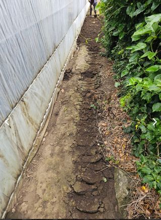 예준예성빠님의 장마 대비 어떻게 하셨나요? · 참여 작성글 사진