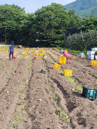 시골농부배짱이님의 장마 대비 어떻게 하셨나요? · 참여 작성글 사진