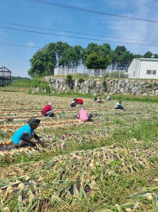강길구님의 우리동네 · 동네정보 작성글 사진