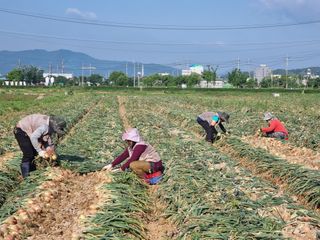 강길구님의 우리동네 · 동네정보 작성글 사진